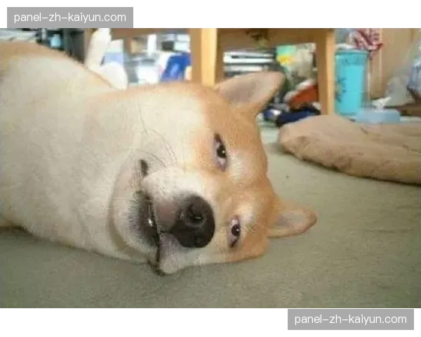 特写：终场哨响，梅斯球员瘫坐在地，保级形势进一步恶化