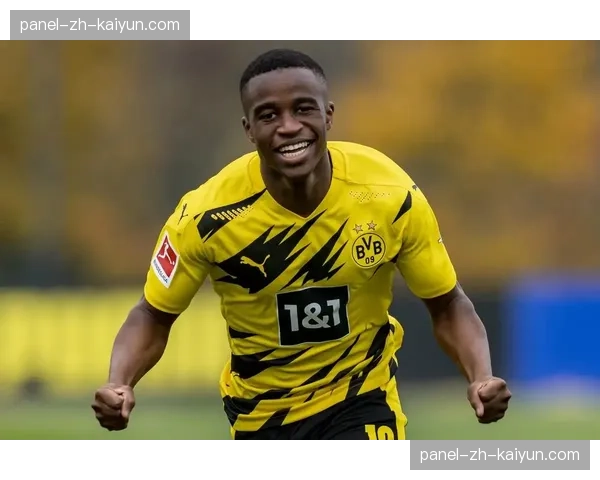 图片报：穆科科有望在下一场比赛中进入多特替补席